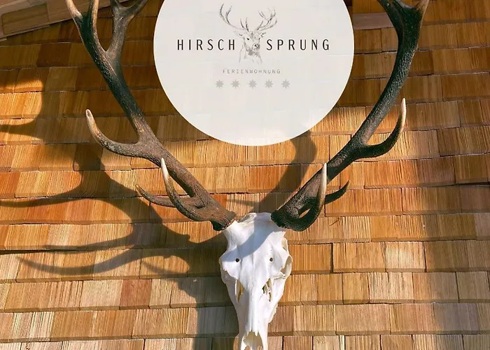 Hirschsprung דירה