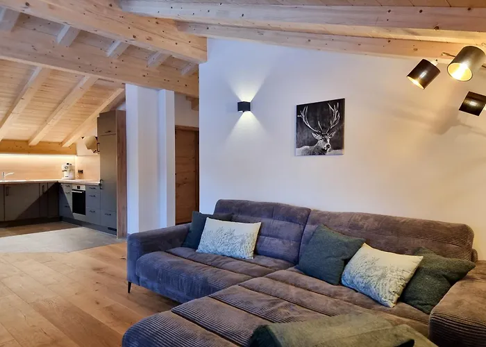 Hirschsprung אוברמייזלשטיין