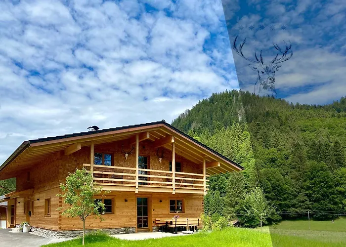 Hirschsprung אוברמייזלשטיין