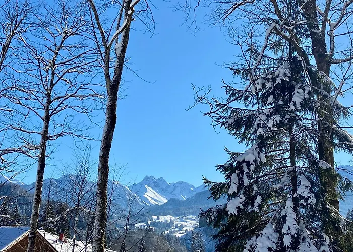 Hirschsprung דירה *